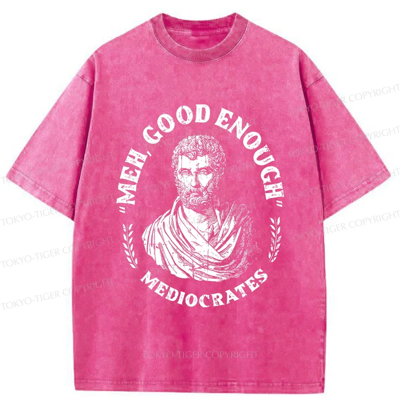 Tokyo-Tiger Socrates Funny Saying Washed T-Shirt