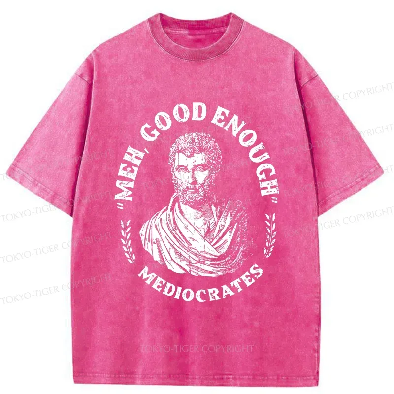 Tokyo-Tiger Socrates Funny Saying Washed T-Shirt