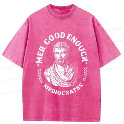 Tokyo-Tiger Socrates Funny Saying Washed T-Shirt