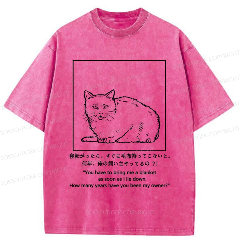 Tokyo-Tiger Cat Instructs Owner Washed T-Shirt