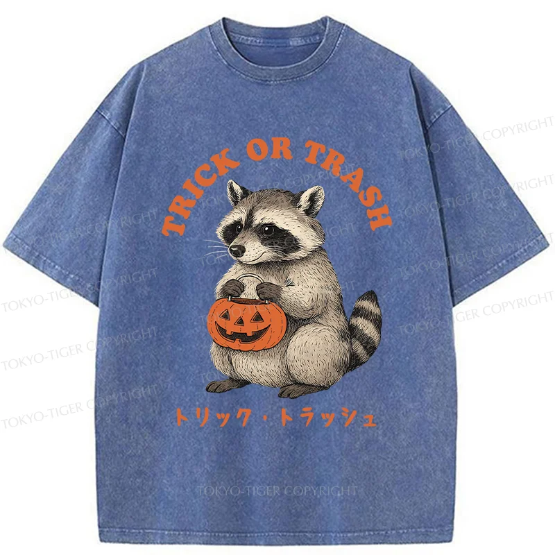 Tokyo-Tiger Halloween Raccoon Washed T-Shirt