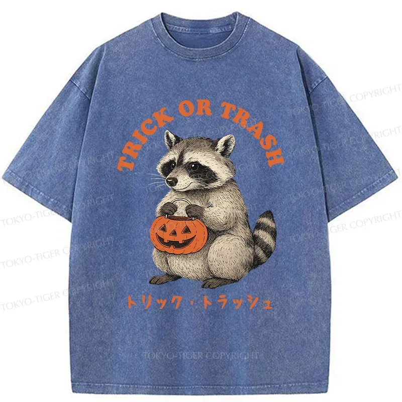 Tokyo-Tiger Halloween Raccoon Washed T-Shirt