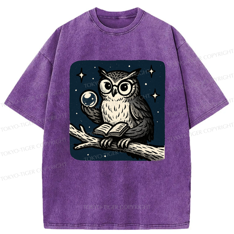 Tokyo-Tiger INFJ Owl Washed T-Shirt