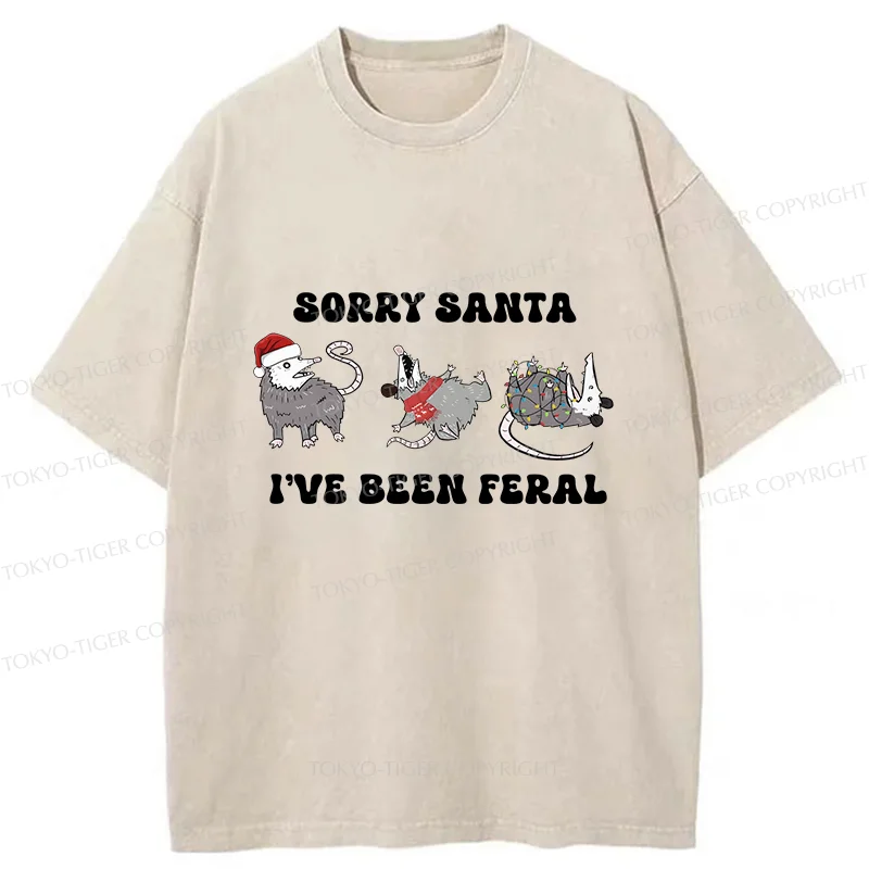 Tokyo-Tiger Halloween Opossum Washed T-Shirt