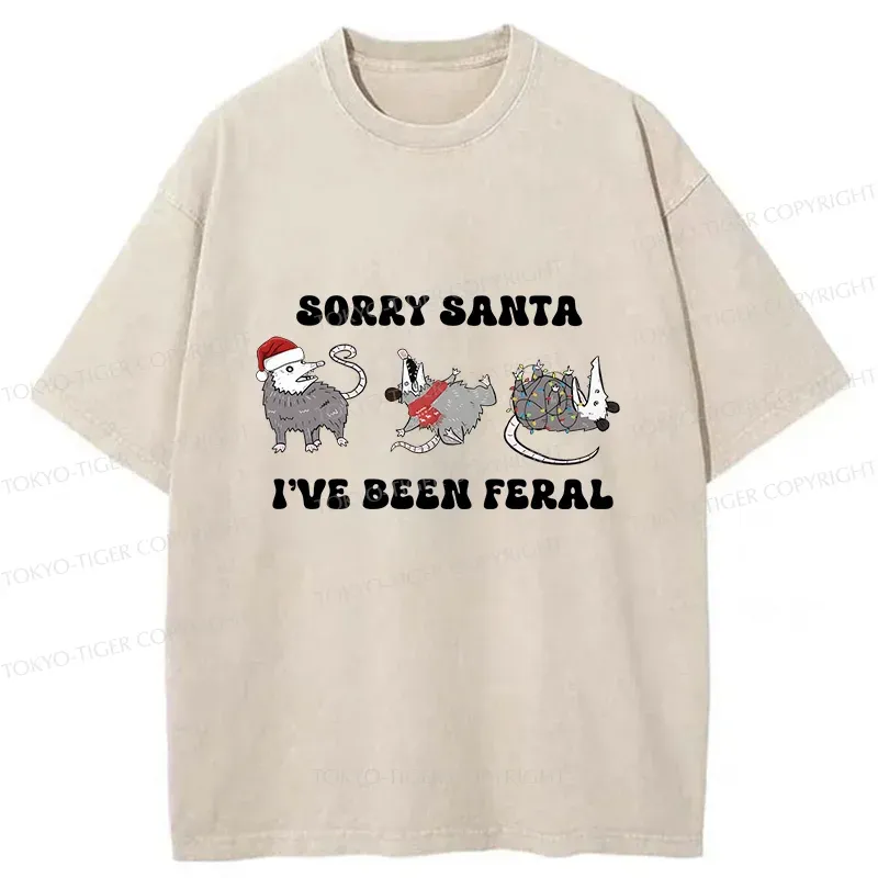 Tokyo-Tiger Halloween Opossum Washed T-Shirt