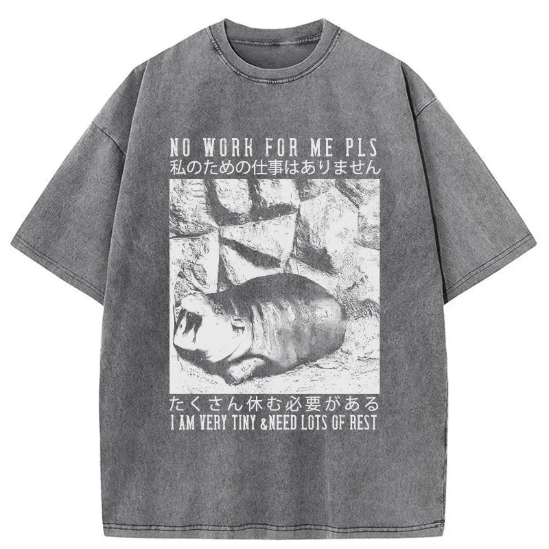 Tokyo-Tiger Funny Moo Deng Needs Lots Of Rest Washed T-Shirt