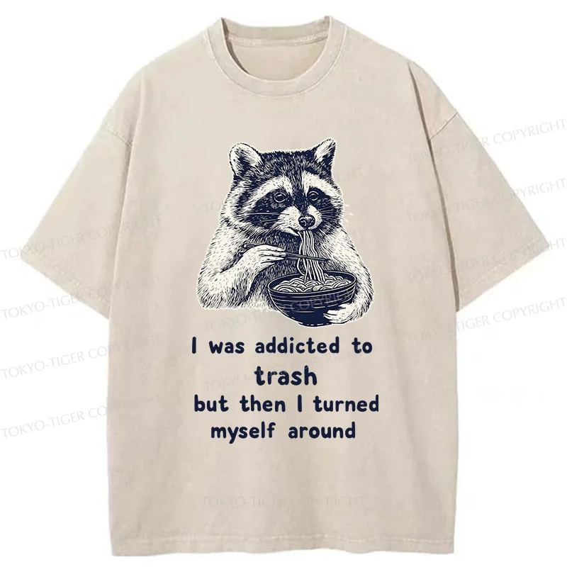 Tokyo-Tiger Raccoon Eating Ramen Japanese Washed T-Shirt