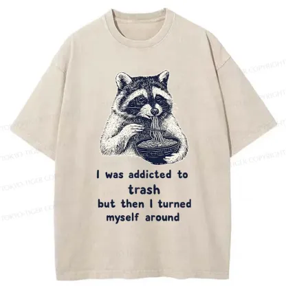 Tokyo-Tiger Raccoon Eating Ramen Japanese Washed T-Shirt
