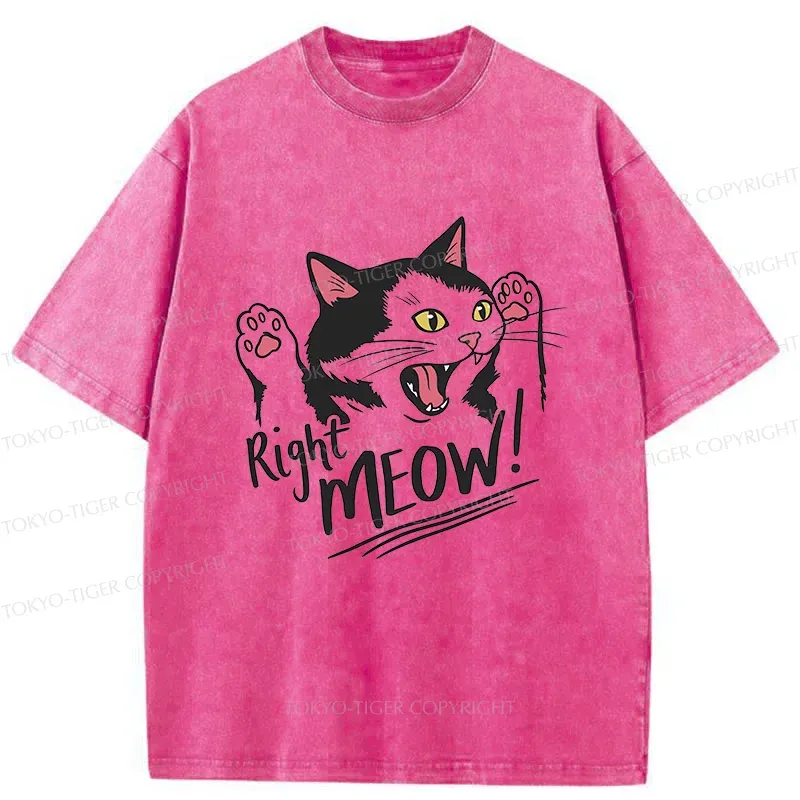 Tokyo-Tiger Right Meow Funny Washed T-Shirt