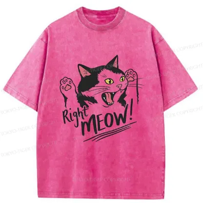 Tokyo-Tiger Right Meow Funny Washed T-Shirt