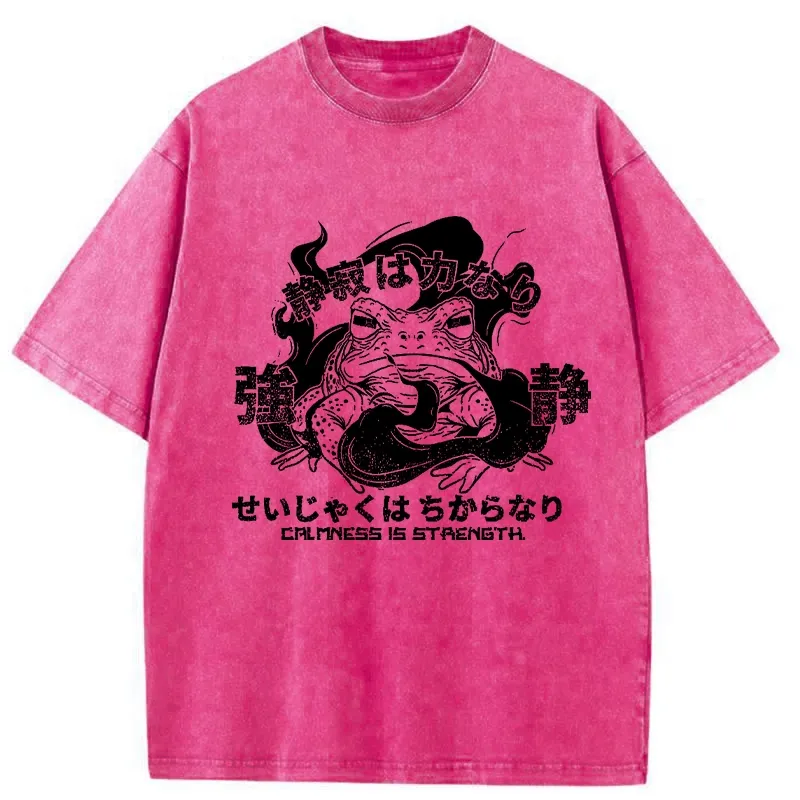 Tokyo-Tiger Calmness Is Strength Washed T-Shirt