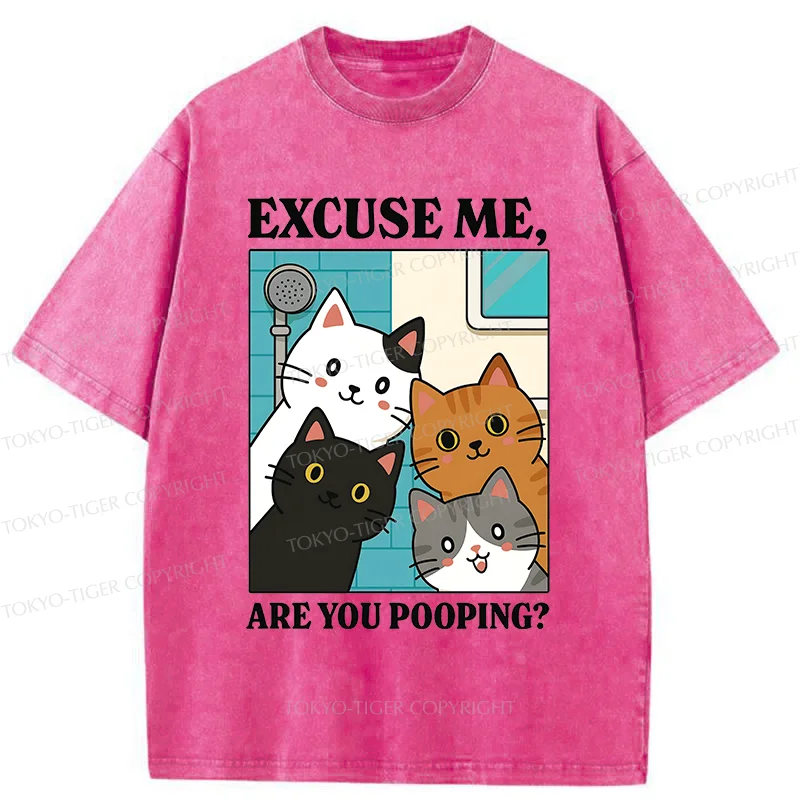 Tokyo-Tiger Cats Is Staring At You Washed T-Shirt