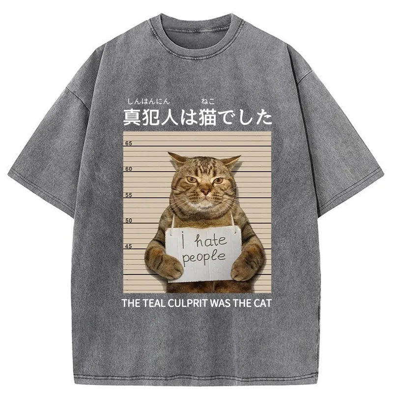 Tokyo-Tiger The Culprit Is The Cat Washed T-Shirt