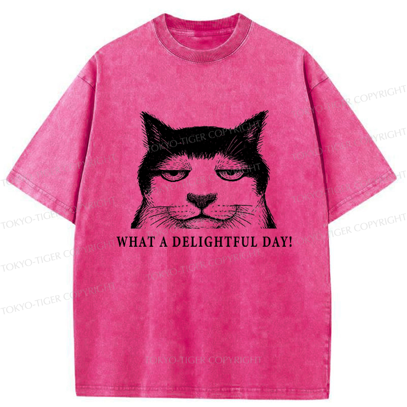 Tokyo-Tiger The World-Weary Cat Washed T-Shirt