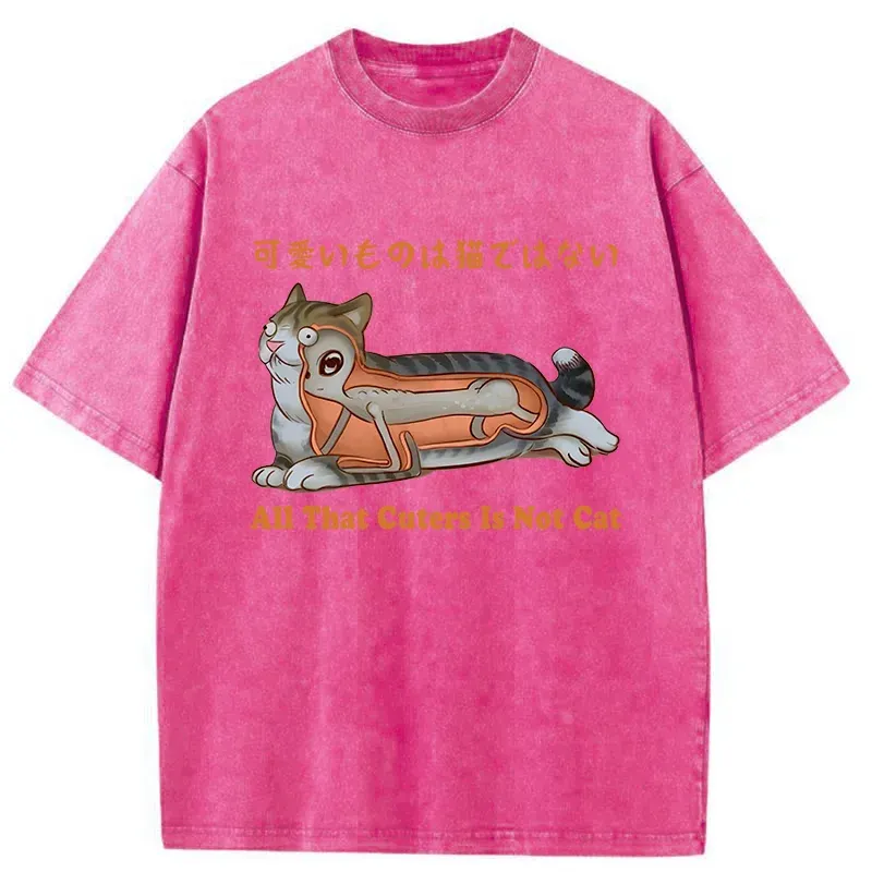 Tokyo-Tiger All That Cuters Is Not Cat Washed T-Shirt