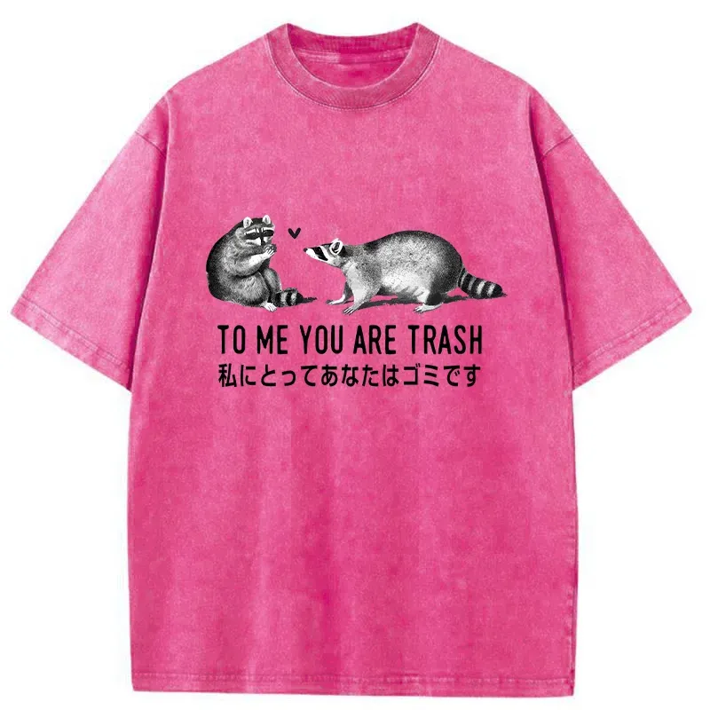 Tokyo-Tiger Raccoon Courting Washed T-Shirt