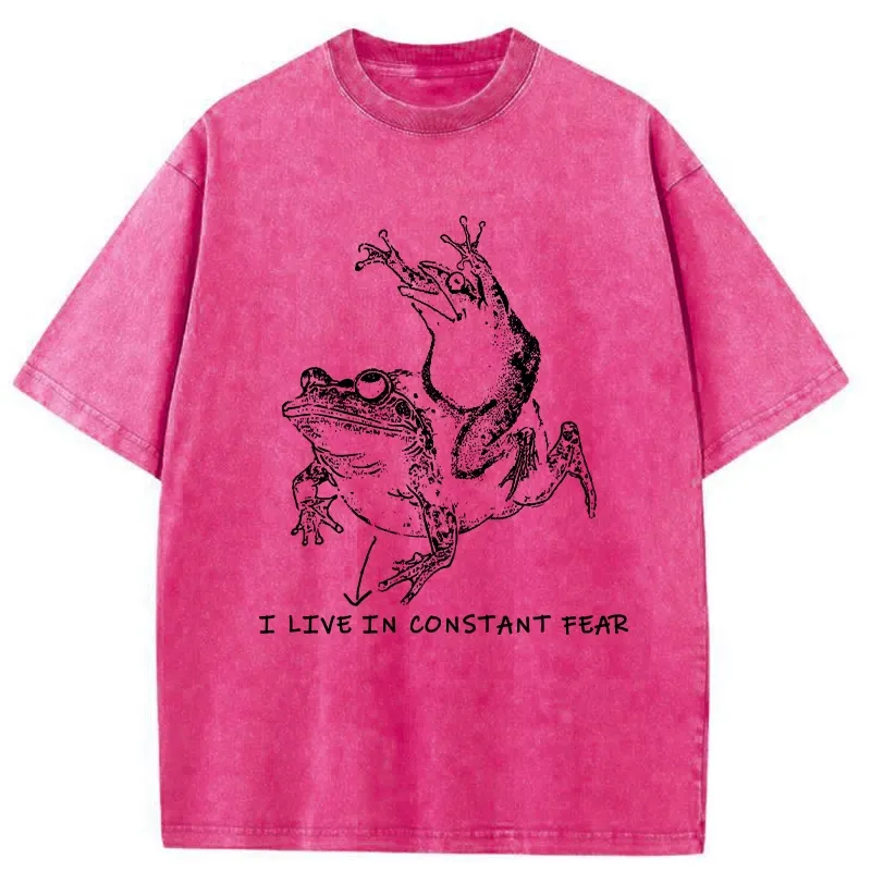 Tokyo-Tiger I Live In Constant Fear Washed T-Shirt