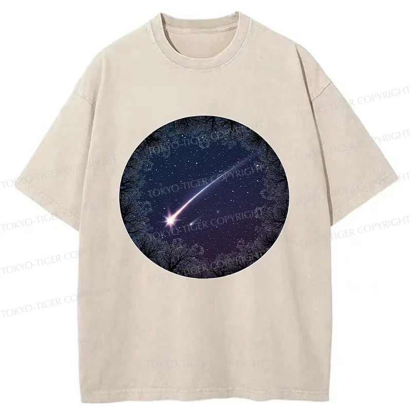 Tokyo-Tiger Beautiful Meteor Washed T-Shirt