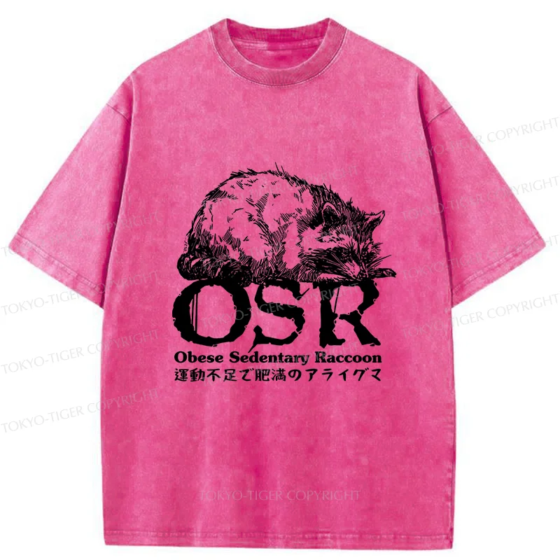 Tokyo-Tiger Fat Raccoon Washed T-Shirt