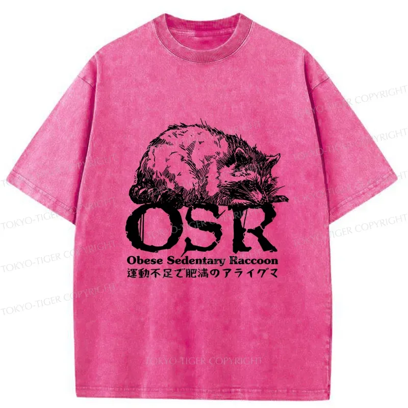 Tokyo-Tiger Fat Raccoon Washed T-Shirt