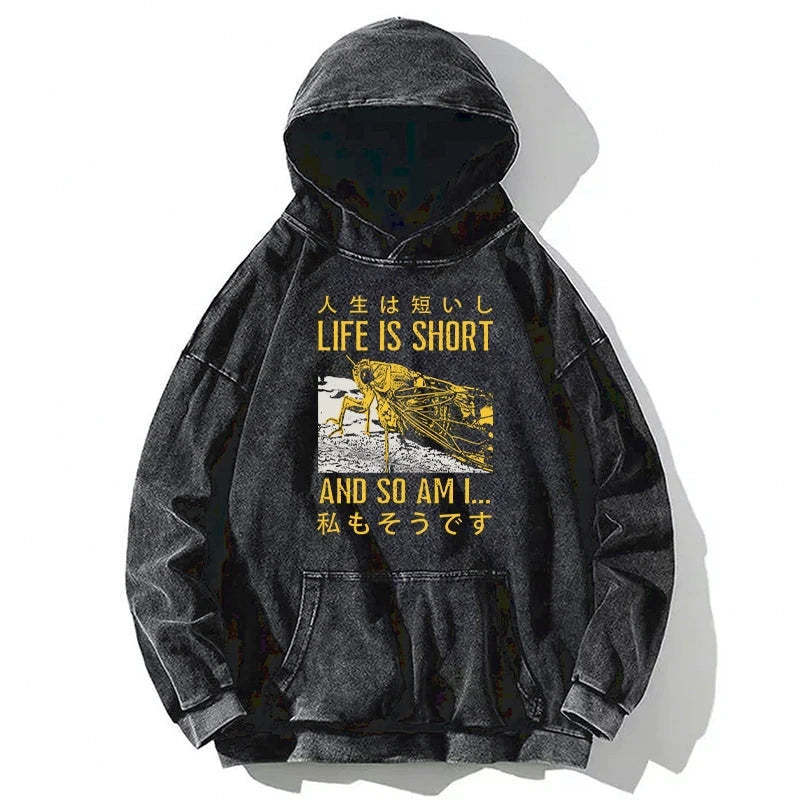 Tokyo-Tiger A Grasshopper With A Short Life Washed Hoodie Sale
