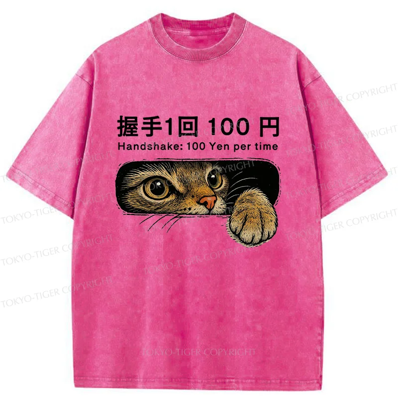Tokyo-Tiger Shake Hands With Cat For A Fee Washed T-Shirt