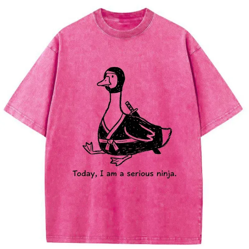 Tokyo-Tiger Ninja Goose Washed T-Shirt