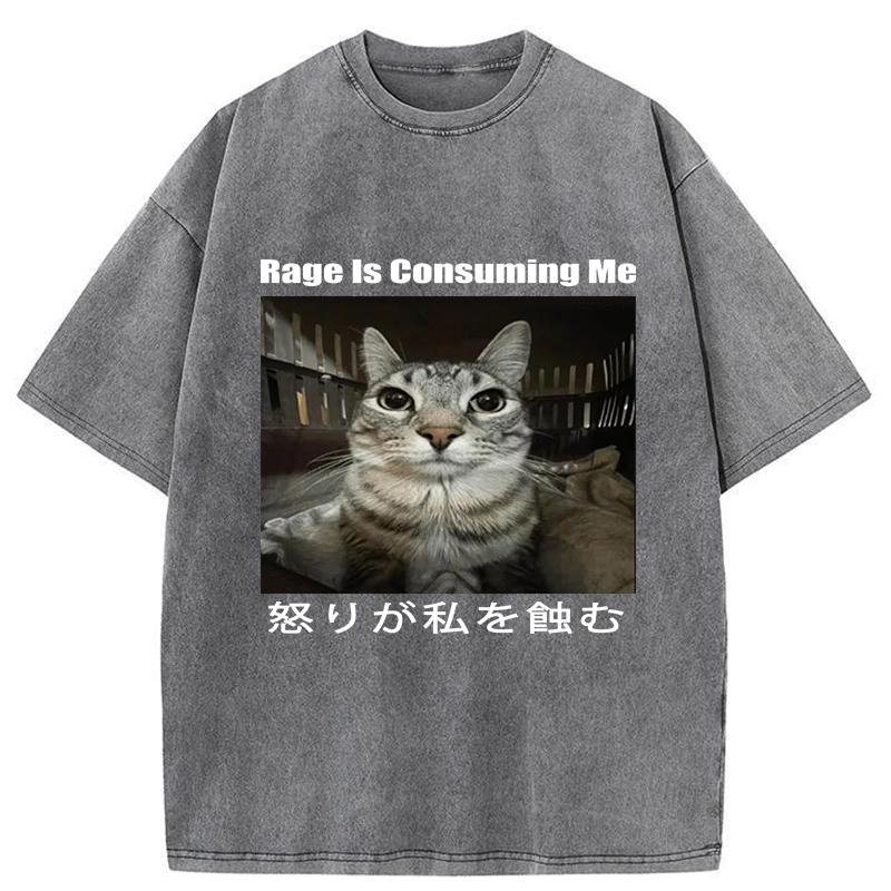 Tokyo-Tiger Rage Is Consuming Me Japan Washed T-Shirt