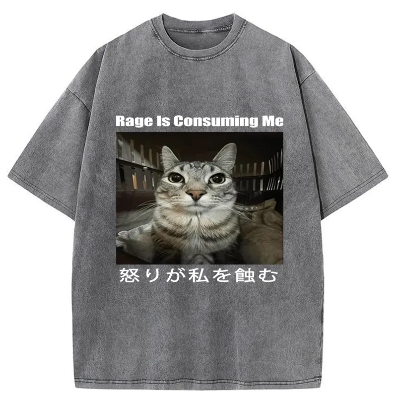 Tokyo-Tiger Rage Is Consuming Me Japan Washed T-Shirt