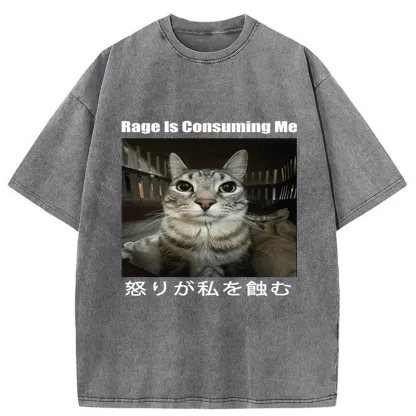 Tokyo-Tiger Rage Is Consuming Me Japan Washed T-Shirt