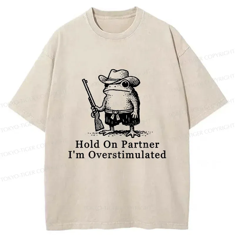 Tokyo-Tiger Handsome Frog Samurai Washed T-Shirt