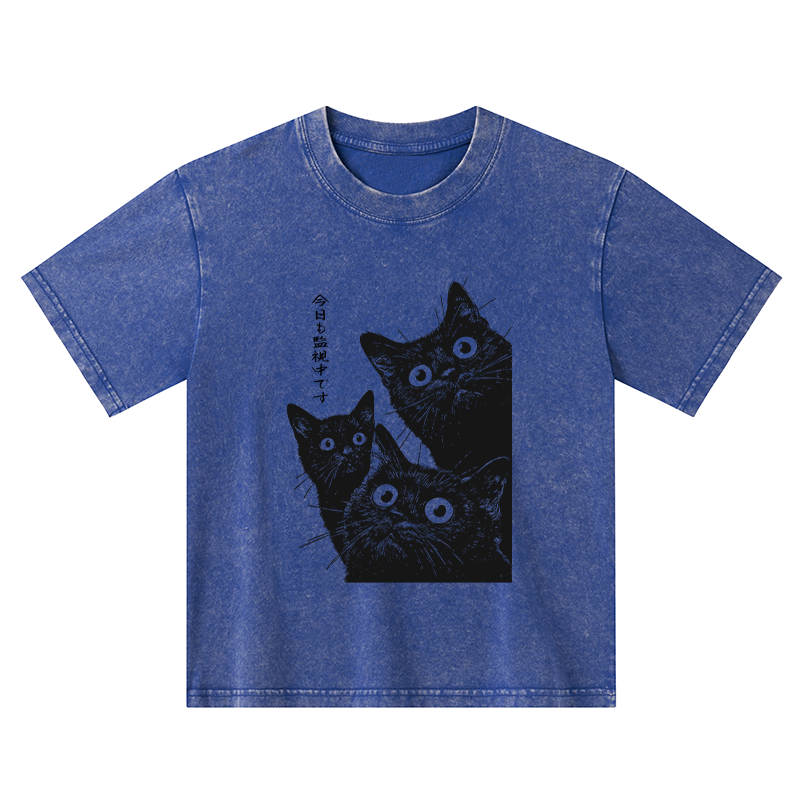 Tokyo-Tiger Three Cats Are Watching You Today Kids Washed T-Shirt
