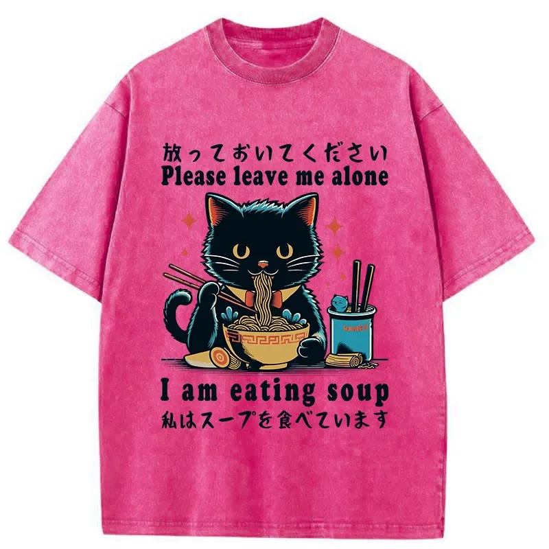 Tokyo-Tiger Cat Enchanted By Ramen Washed T-Shirt