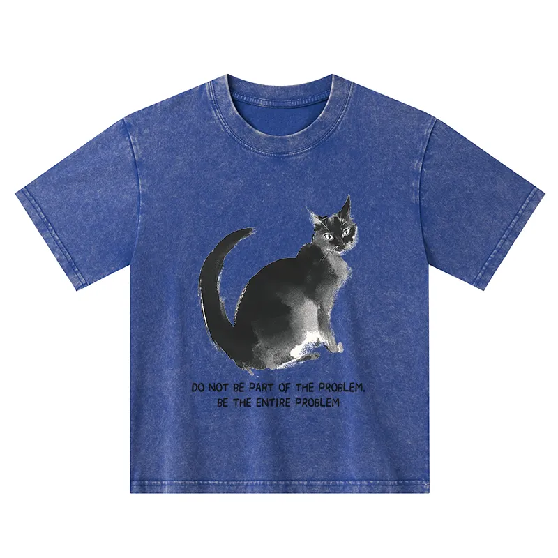Tokyo-Tiger Funny Cat Be The Entire Problem Kids Washed T-Shirt