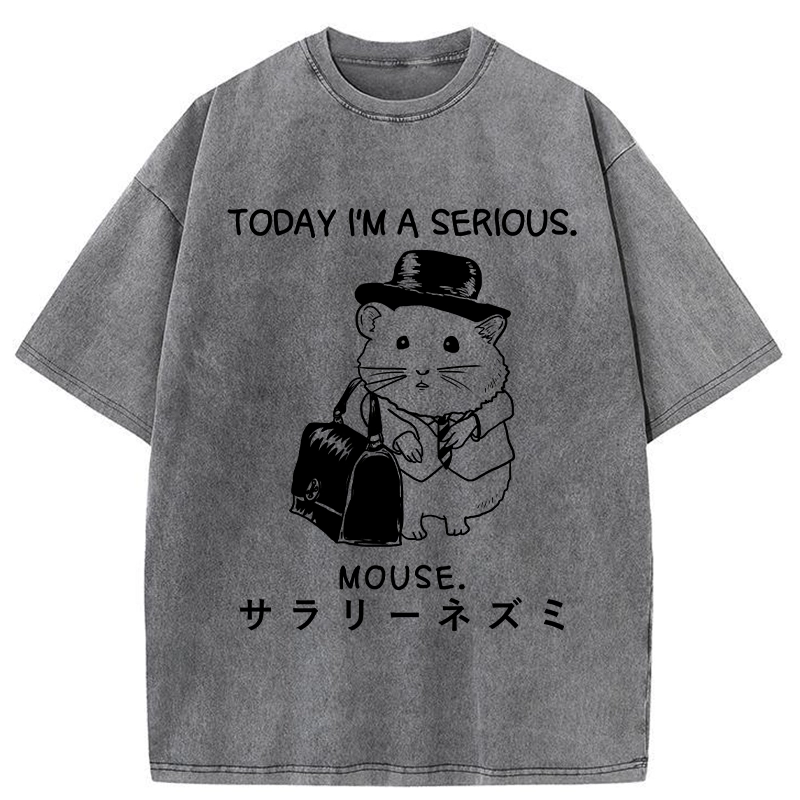 Tokyo-Tiger Today I'm A Serious Washed T-Shirt