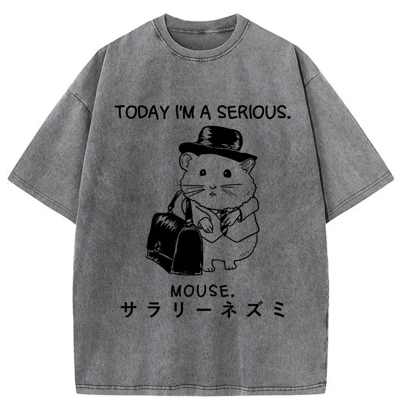 Tokyo-Tiger Today I'm A Serious Washed T-Shirt