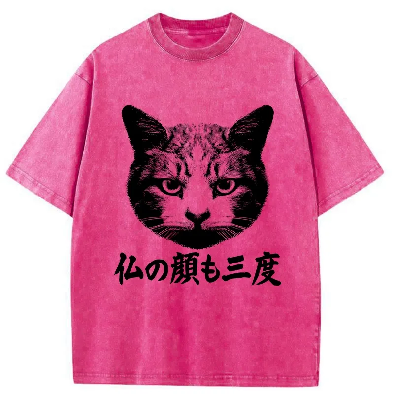 Tokyo-Tiger Cat Hits After Three Messes Washed T-Shirt