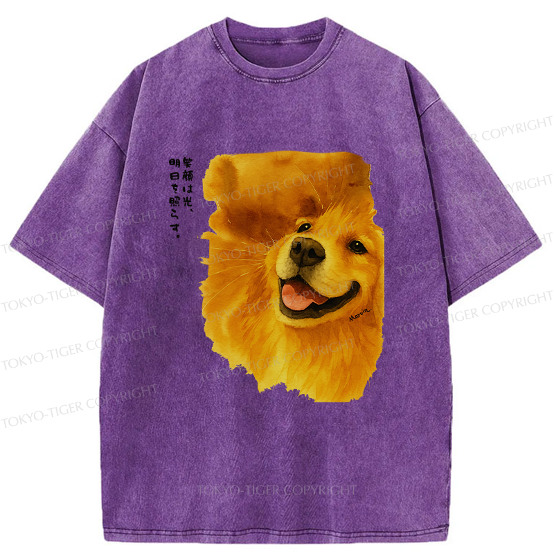 Tokyo-Tiger Smiling Golden Retriever Washed T-Shirt