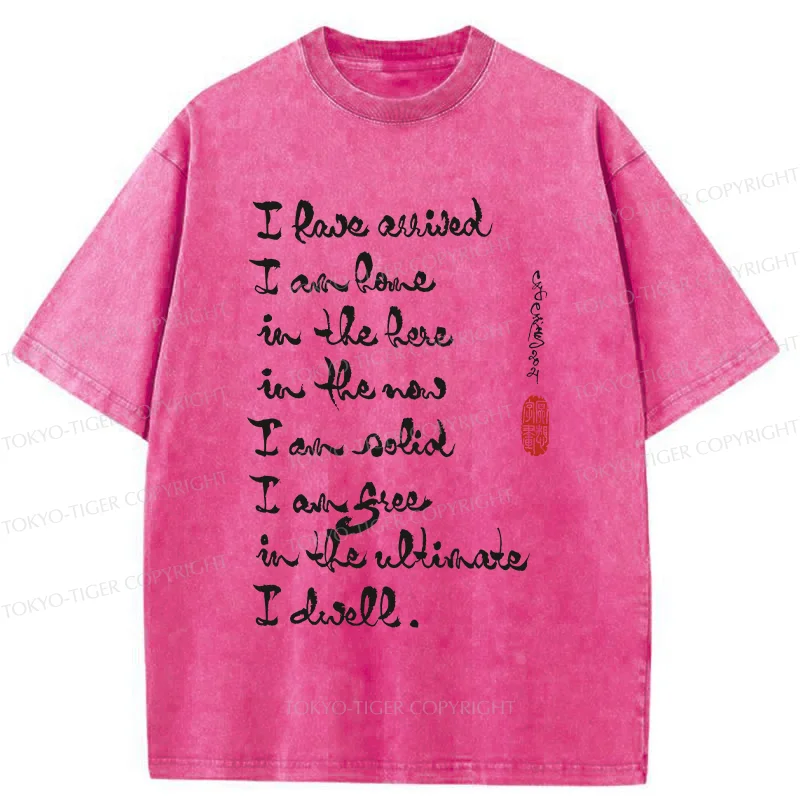 Tokyo-Tiger Zen Sayings Washed T-Shirt