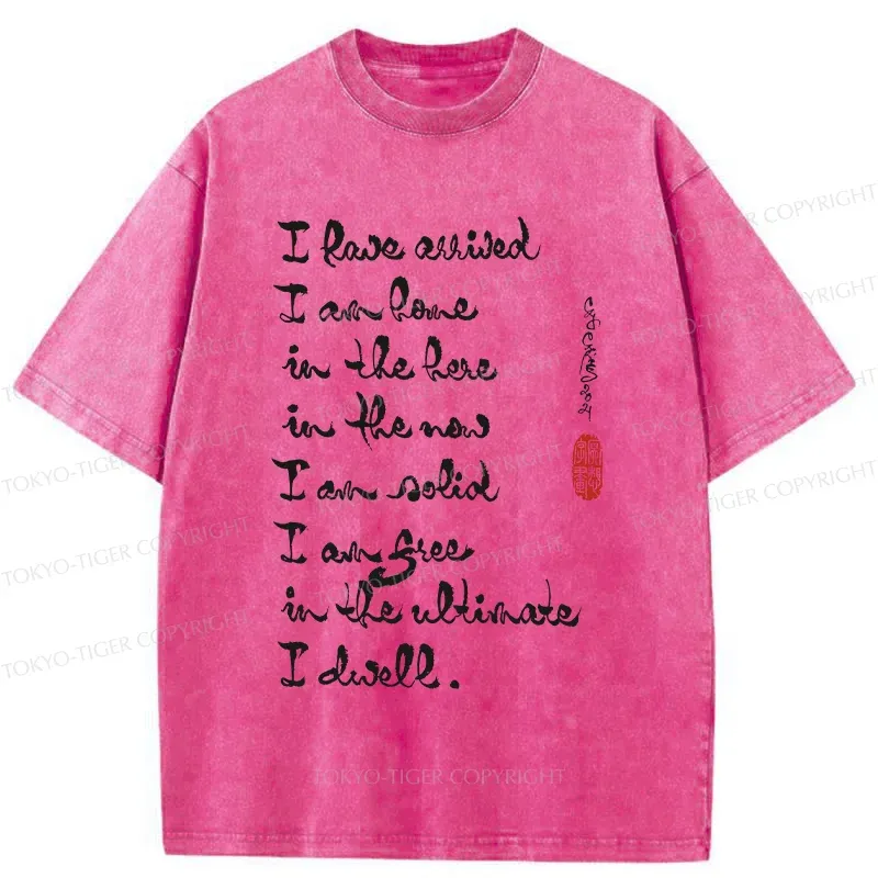 Tokyo-Tiger Zen Sayings Washed T-Shirt