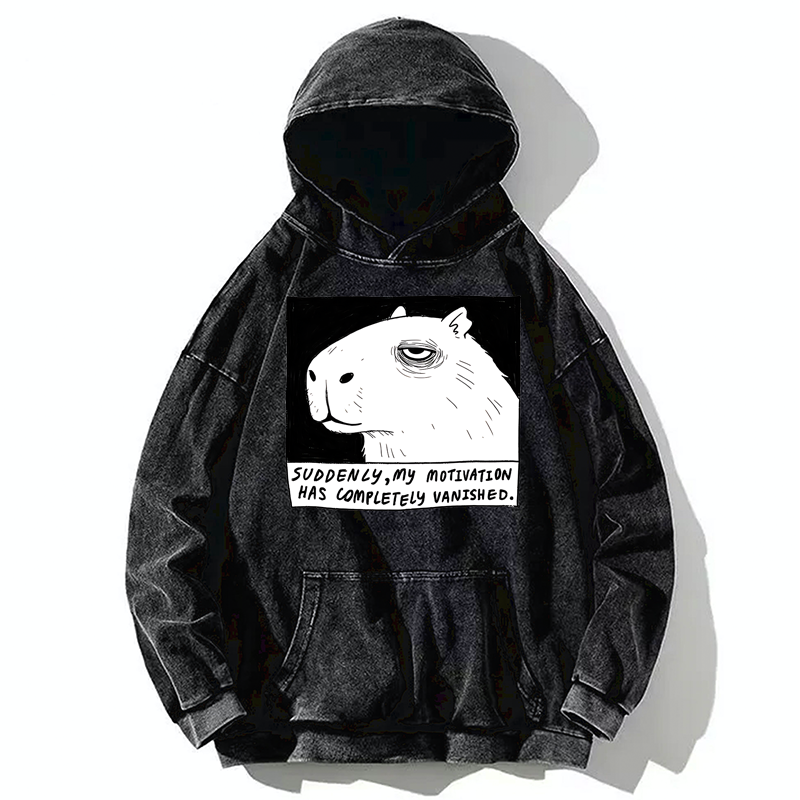 Tokyo-Tiger Power Has Completely Disappeared Washed Hoodie