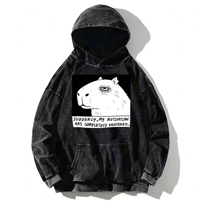 Tokyo-Tiger Power Has Completely Disappeared Washed Hoodie