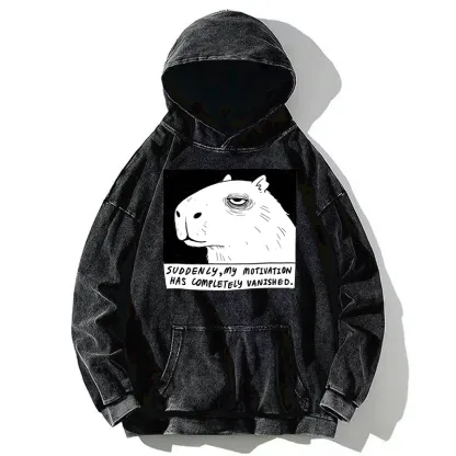 Tokyo-Tiger Power Has Completely Disappeared Washed Hoodie