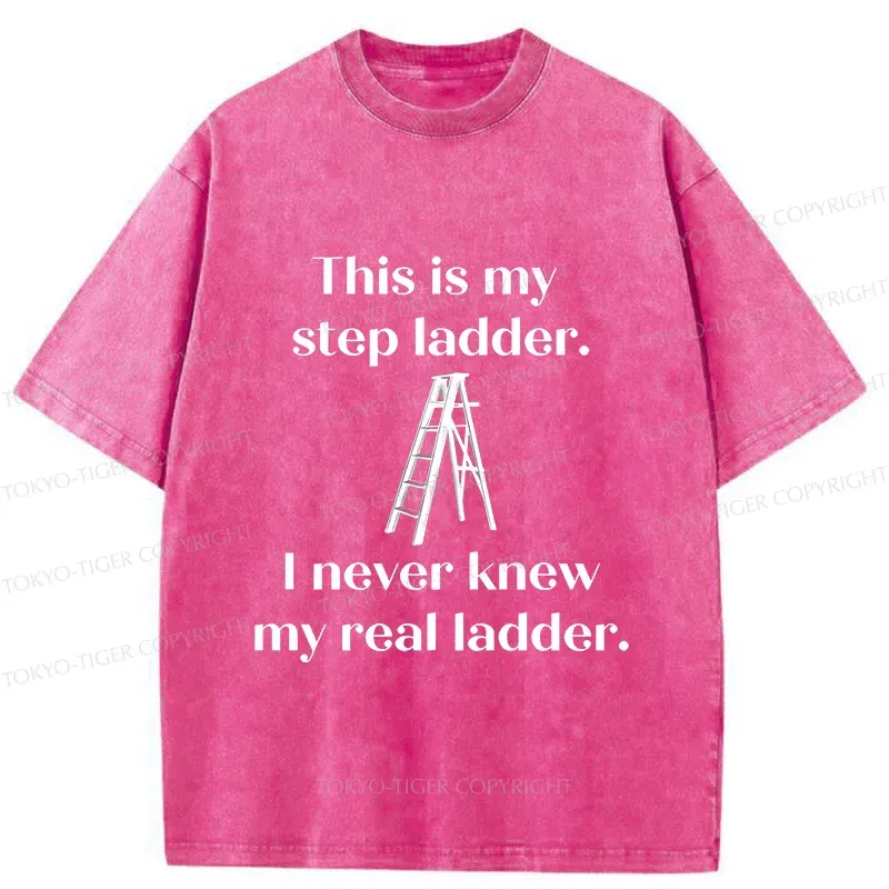 Tokyo-Tiger A Real Ladder Funny Washed T-Shirt