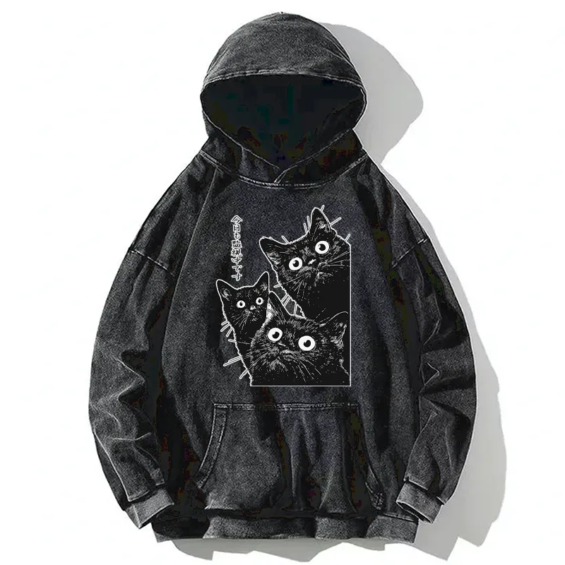 Tokyo-Tiger Three Cats Are Watching You Today Washed Hoodie