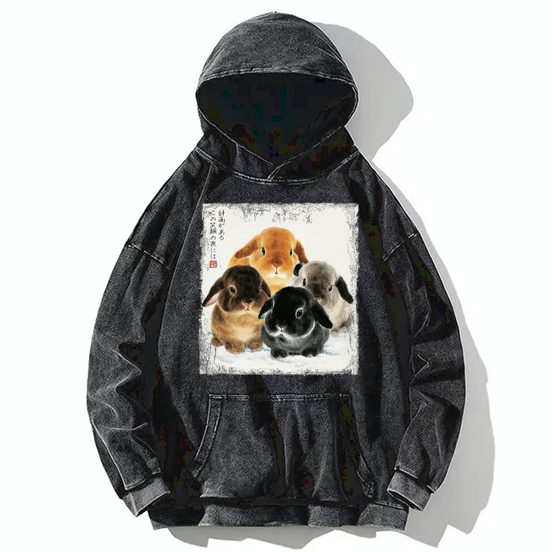 Tokyo-Tiger The Ink Wash Rabbit Is Watching You Washed Hoodie