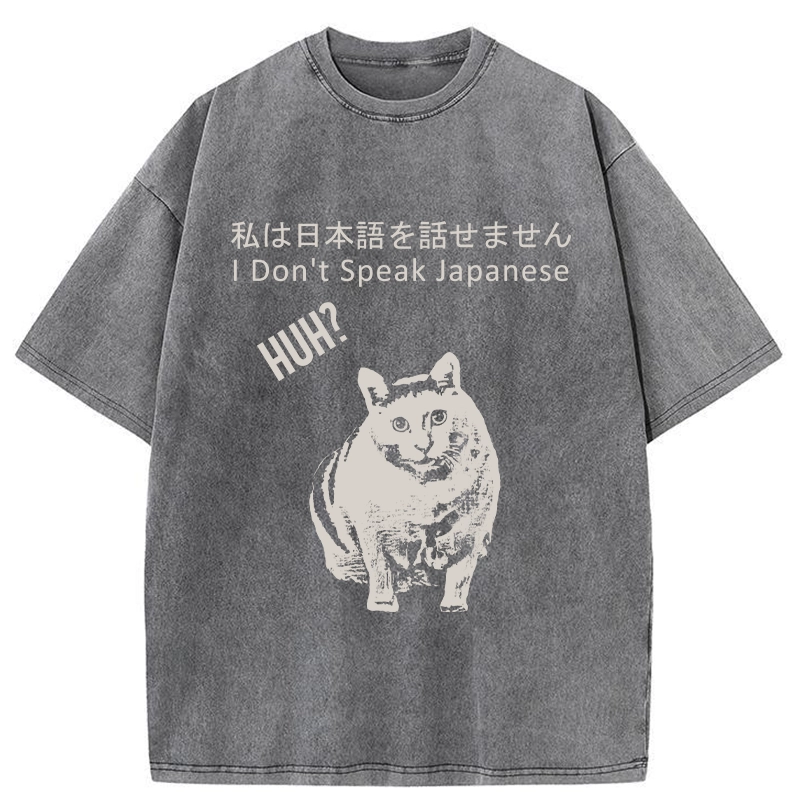 Tokyo-Tiger Cat Doesn't Speak Japanese Washed T-Shirt