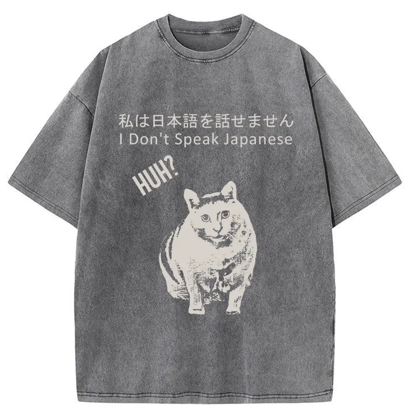 Tokyo-Tiger Cat Doesn't Speak Japanese Washed T-Shirt