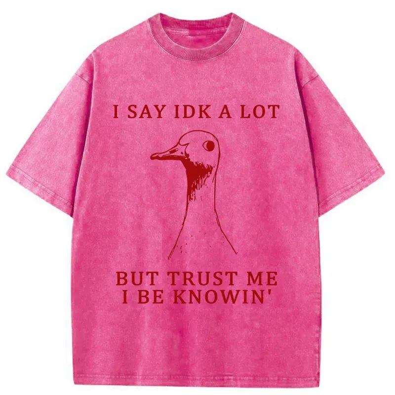 Tokyo-Tiger Silly Goose Understands Everything Washed T-Shirt