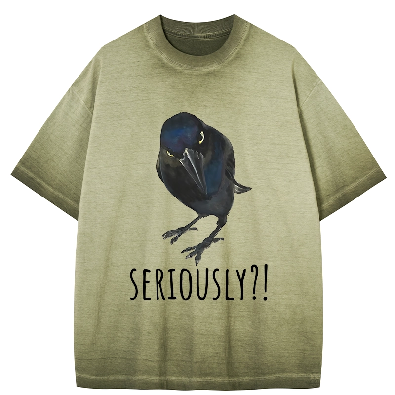 Tokyo-Tiger Raven's Question Gradient Washed T-Shirt